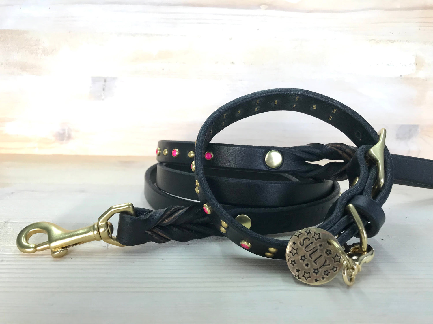 Everydog Leather Gear