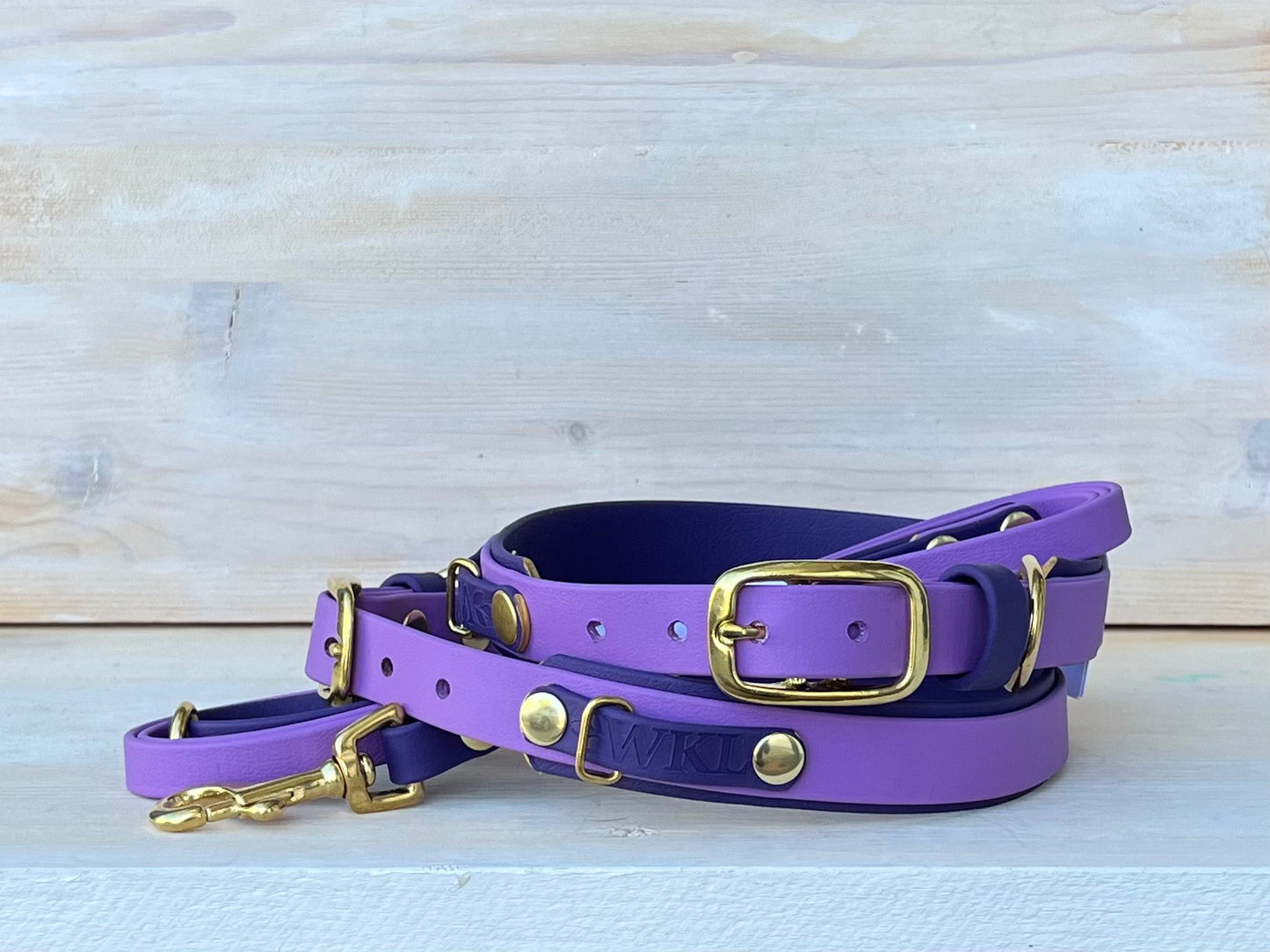 Sugar Plum Standard Collar