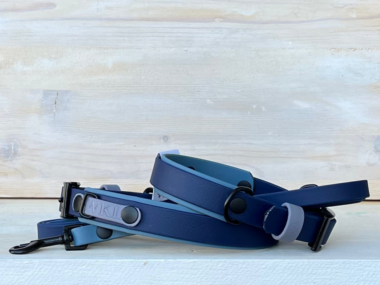 In the Navy Standard Collar