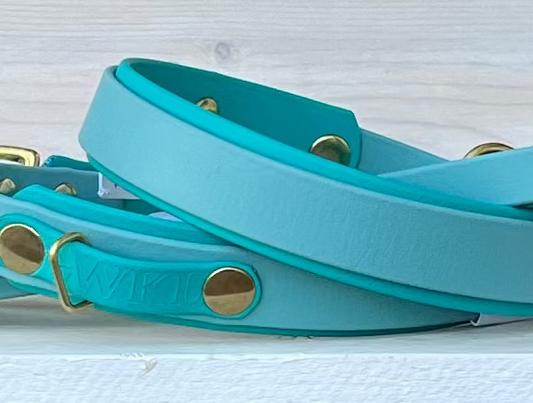 Teal Standard Collar