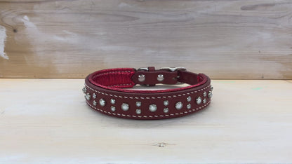 Sparkle XL 16-18"